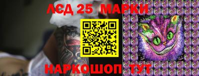 стафф Гусев
