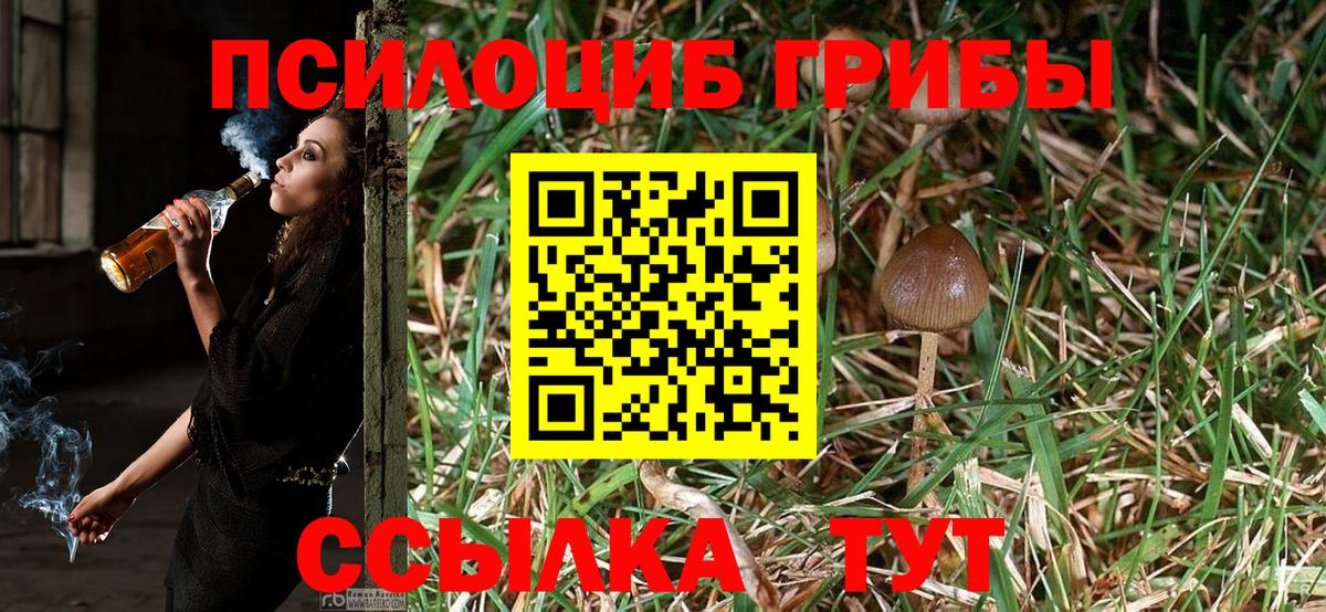 Галлюциногенные грибы Cubensis Надым